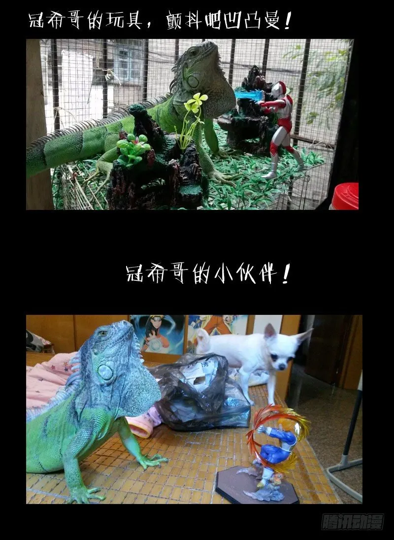 4.白慧真身 第14页
