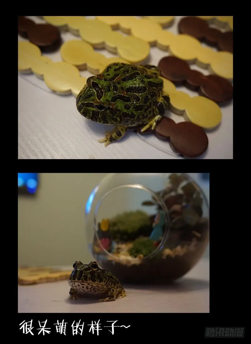 6.金甲妖虫 第10页