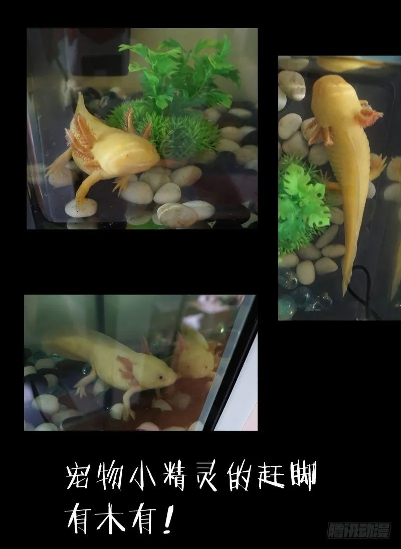 9.线索2 第10页