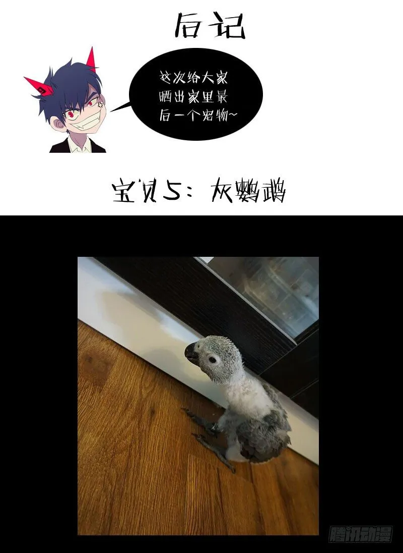 10.杀戮 第9页