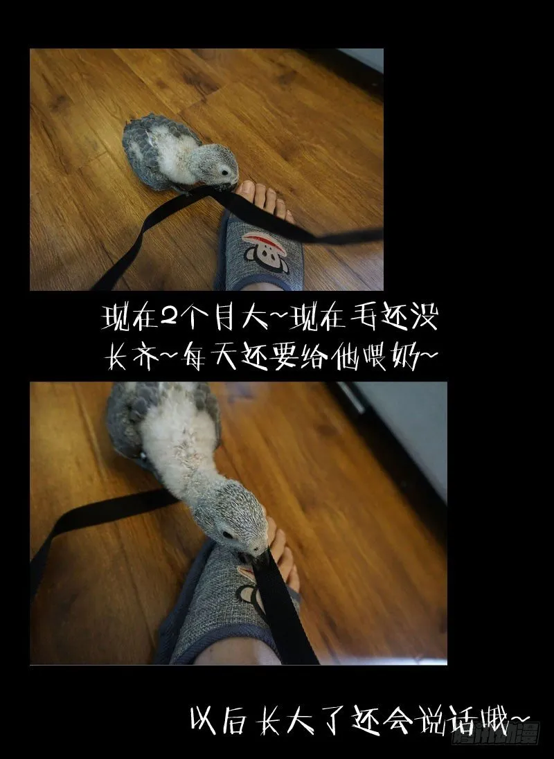 10.杀戮 第10页