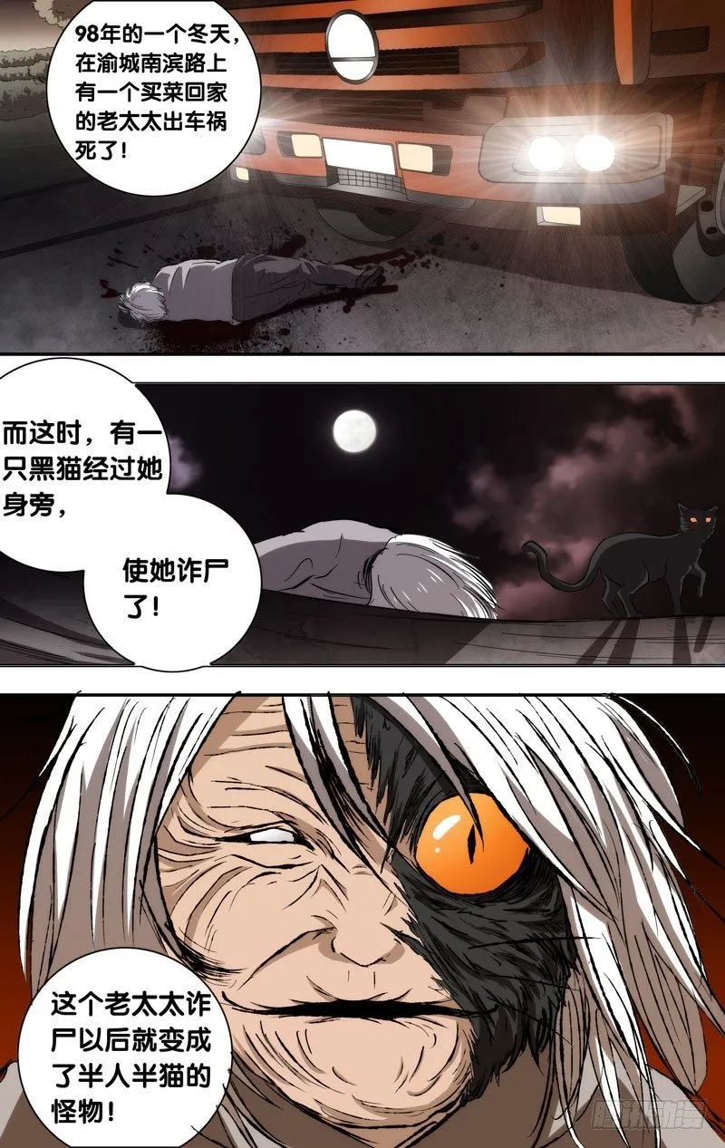 51.猫脸老太太 第5页