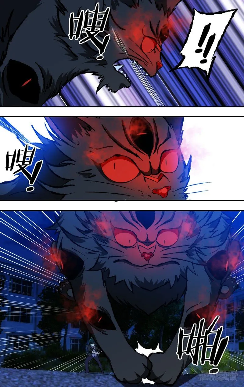 65.猫咪本色 第1页