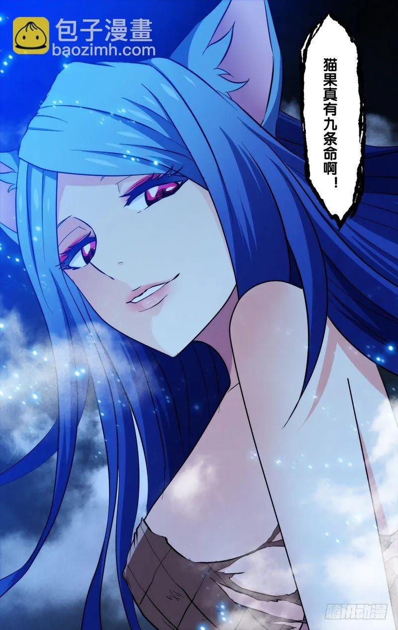 67.猫 第11页
