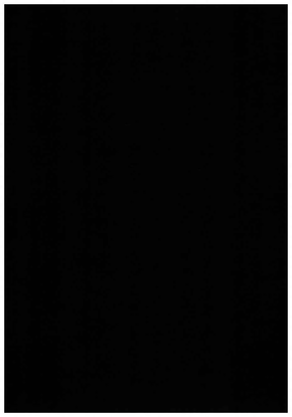 从零开始的异世界生活 画集 第11页