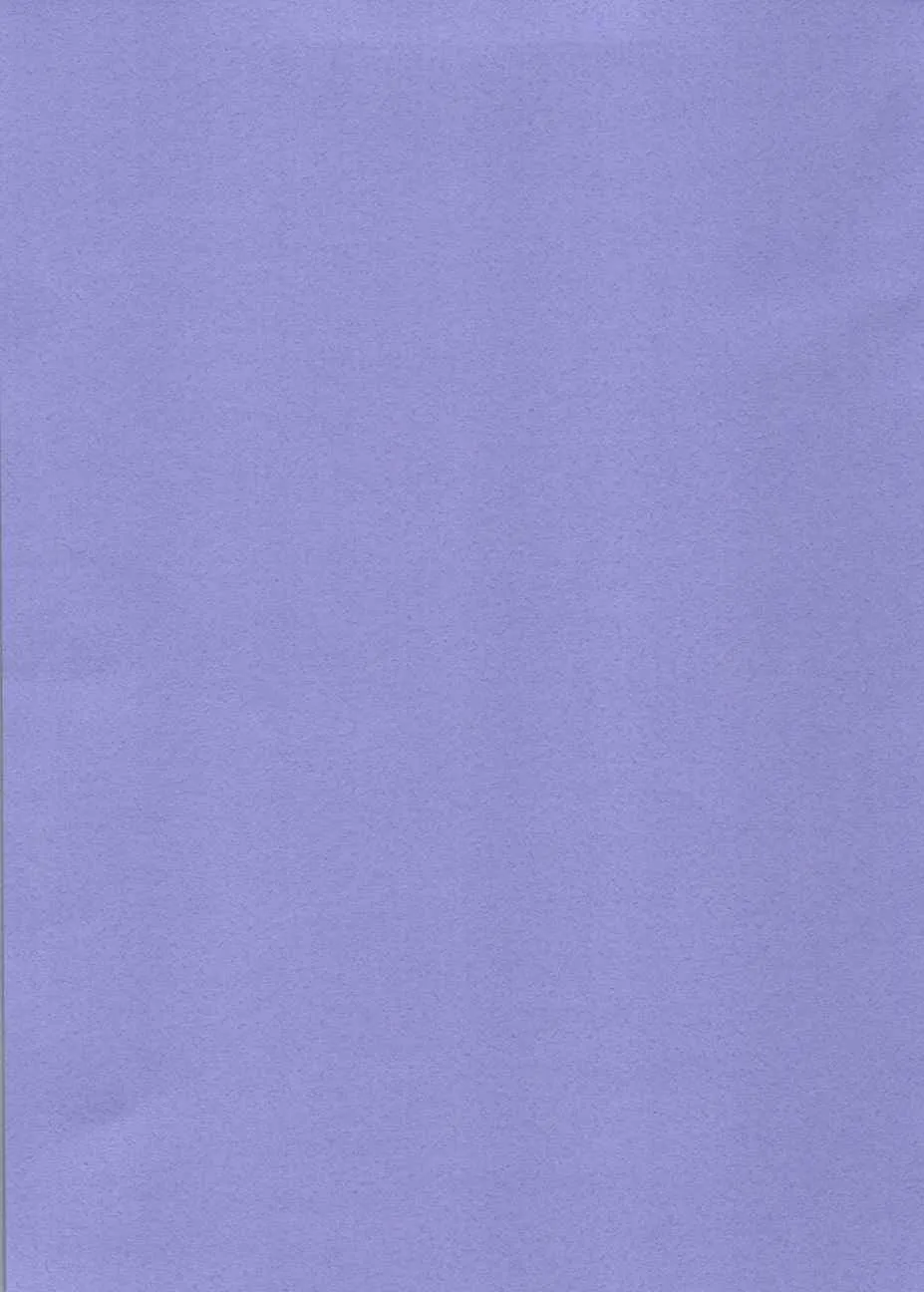 从零开始的异世界生活 画集 第152页
