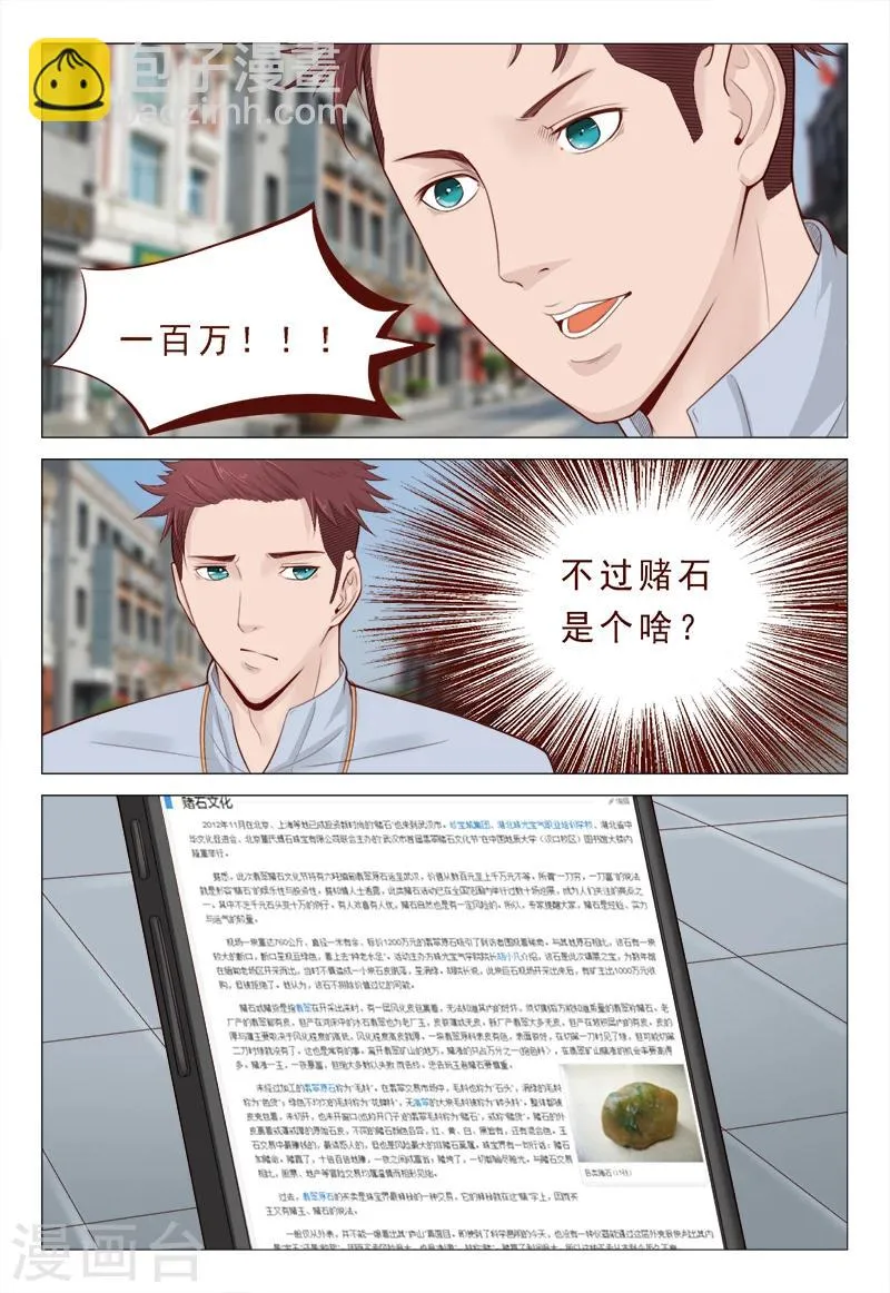 第20话 赌石 第7页