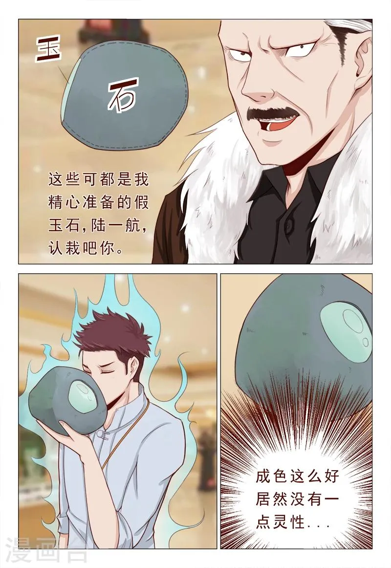 第21话 精心准备的假玉石 第7页