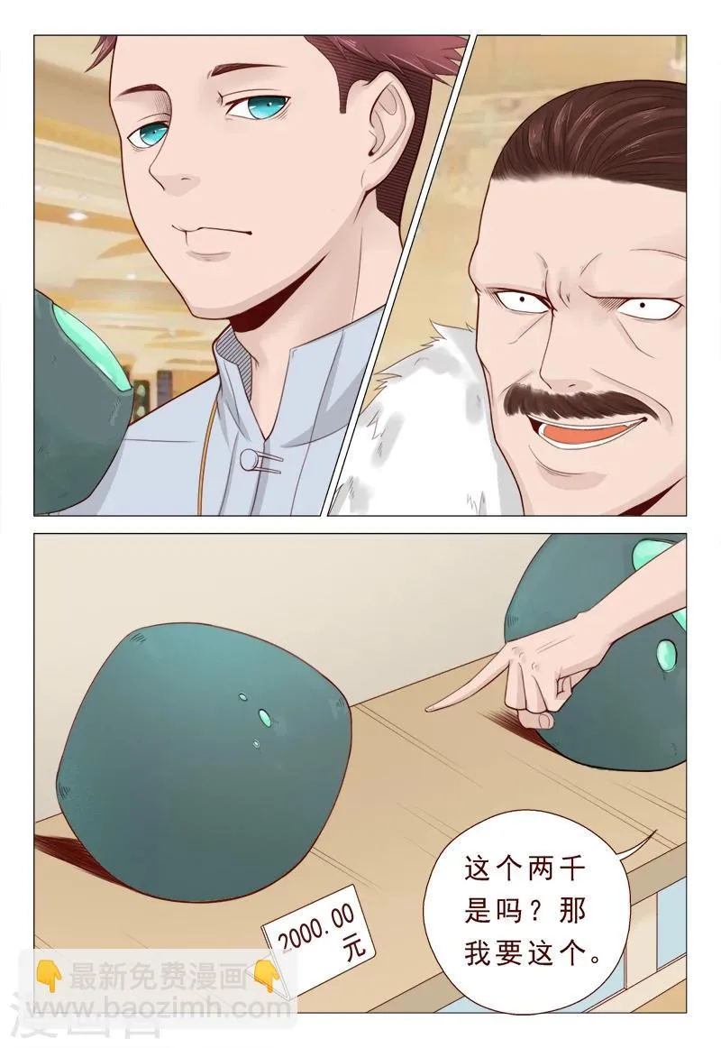 第21话 精心准备的假玉石 第8页
