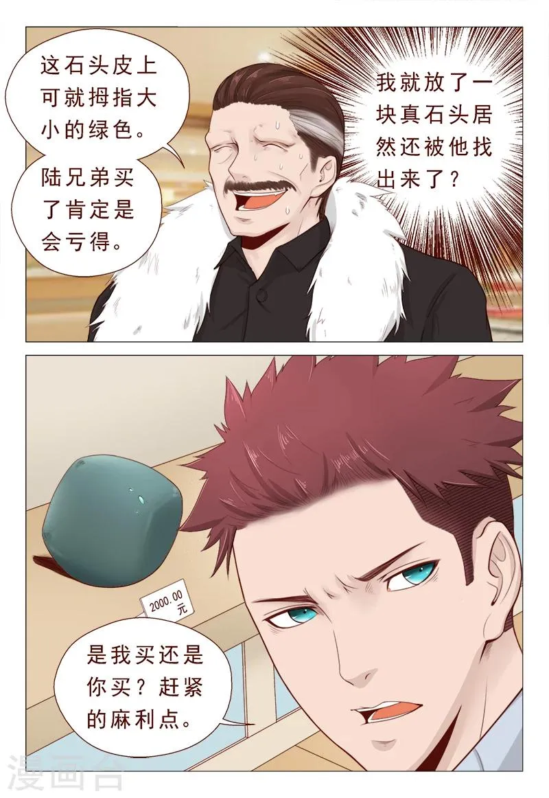 第21话 精心准备的假玉石 第9页