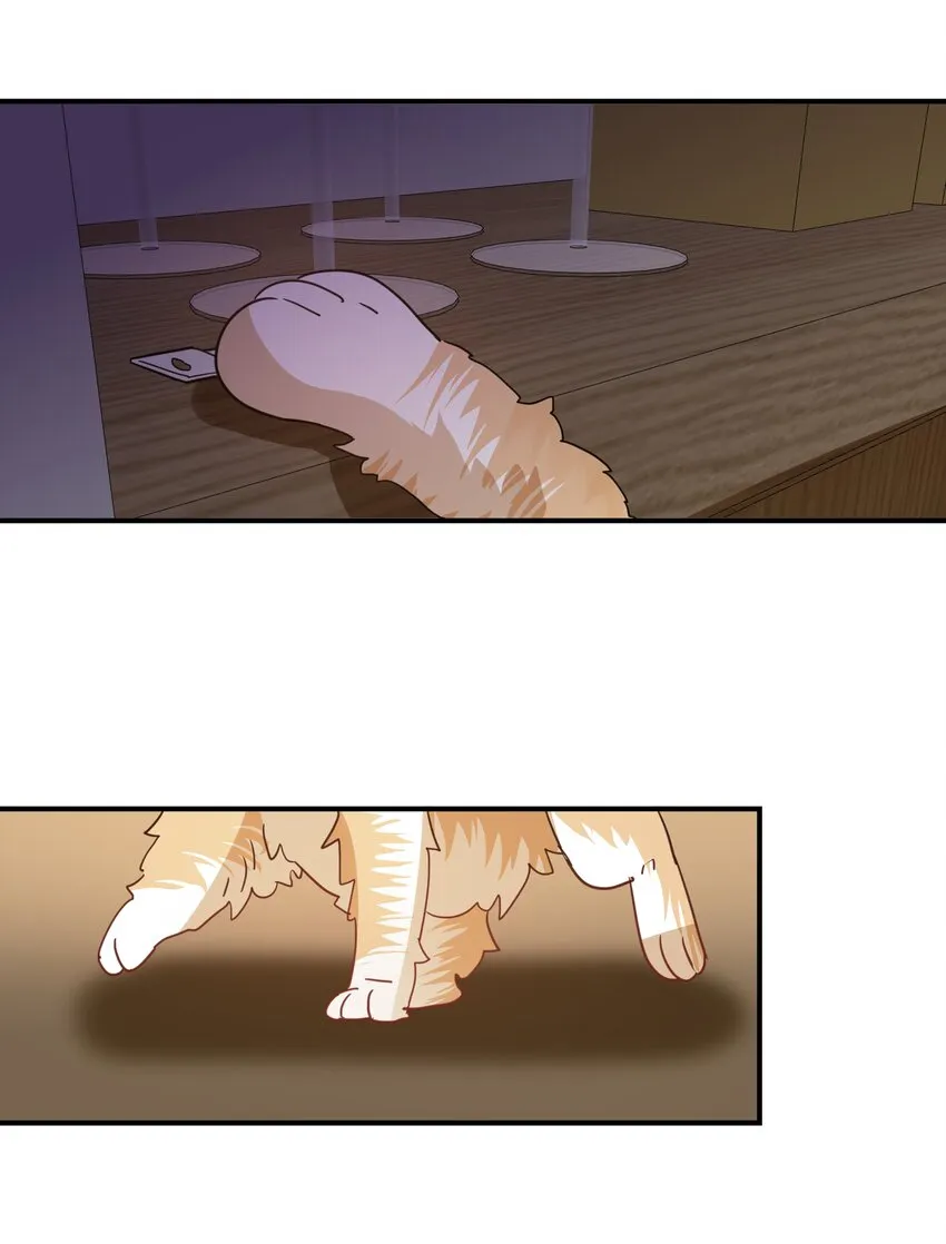 050 我愿意 第20页