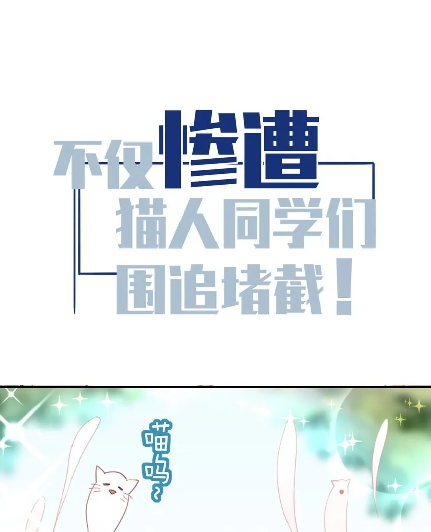 预告 预告 第4页
