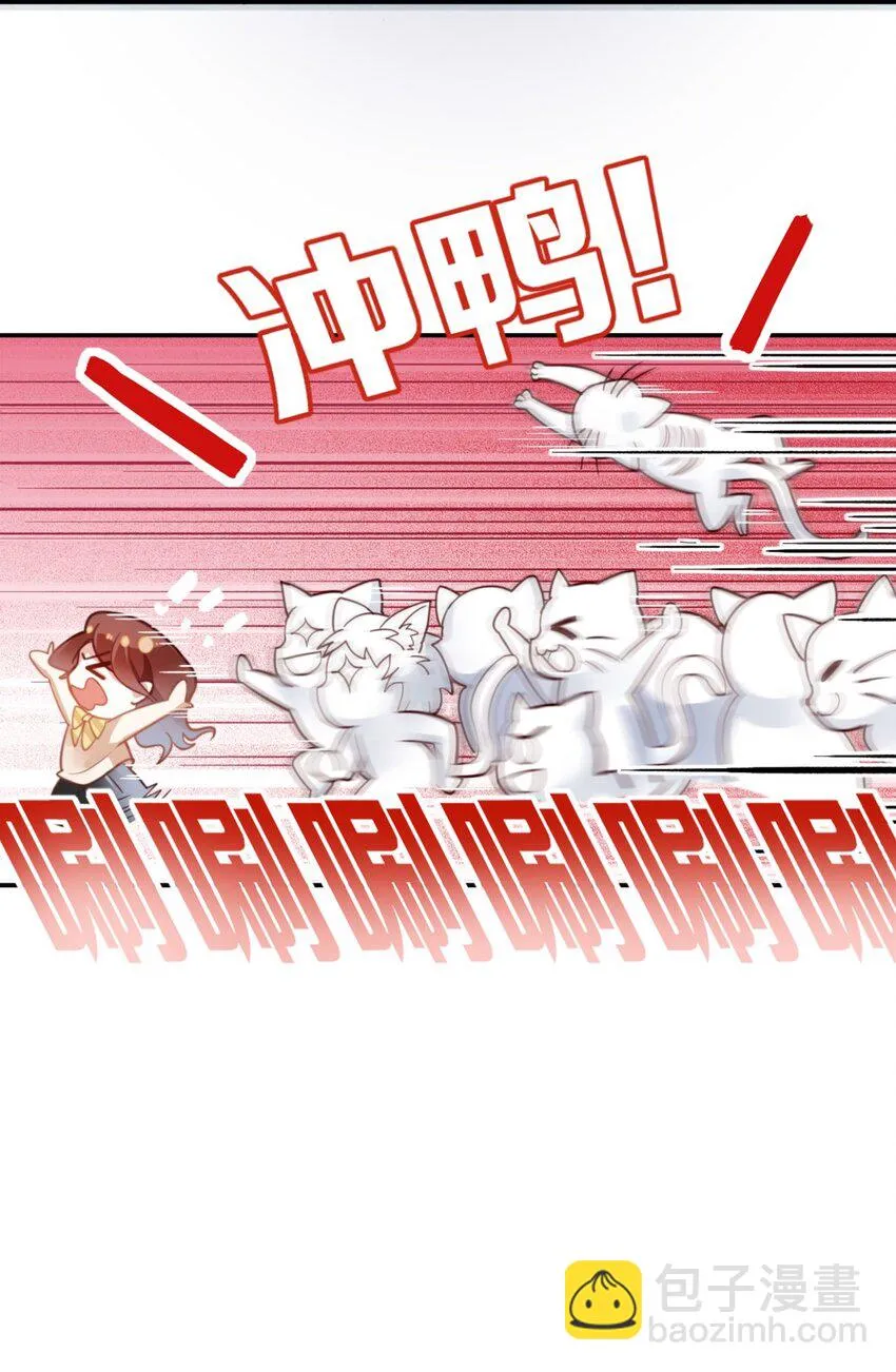 预告 预告 第6页