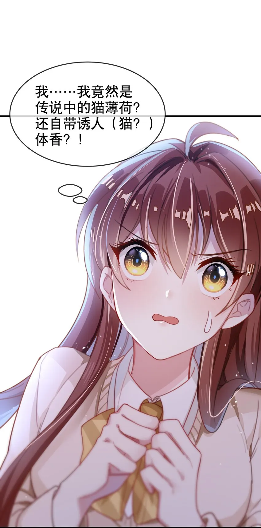 预告 预告 第11页