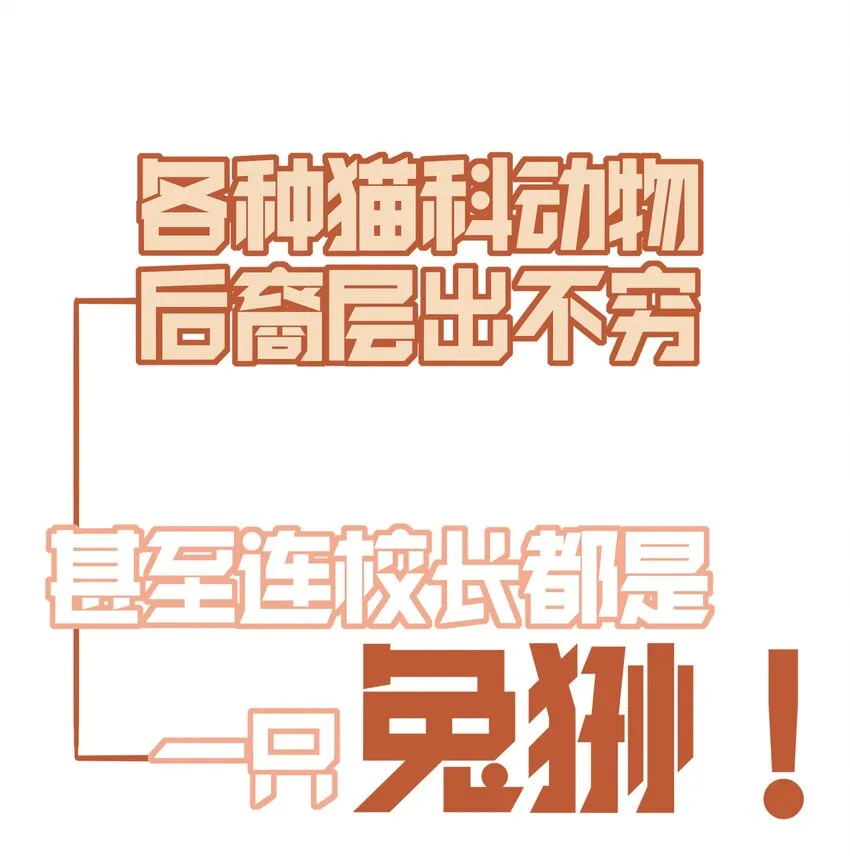 预告 预告 第15页