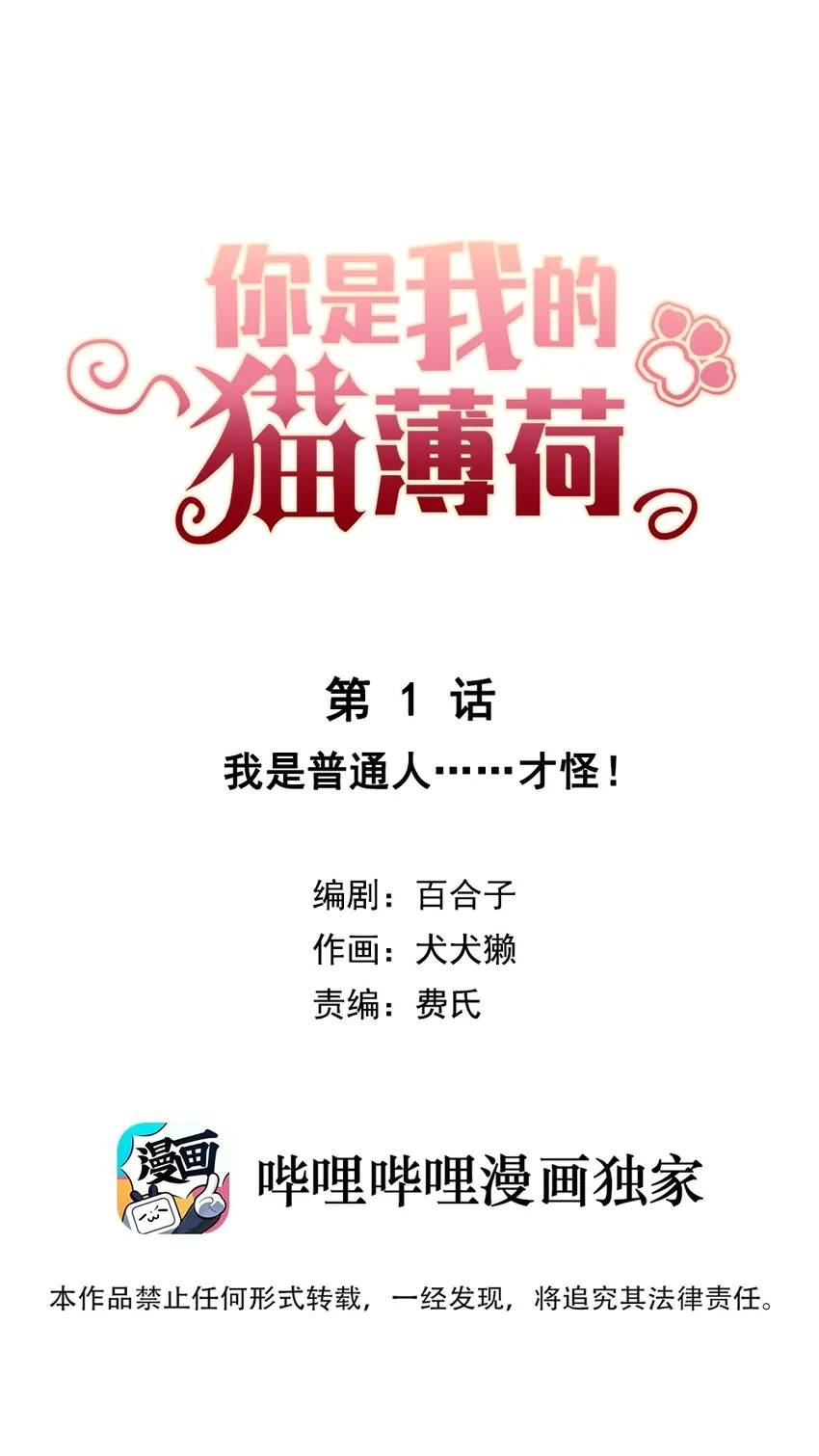 001 我是普通人……才怪！ 第5页