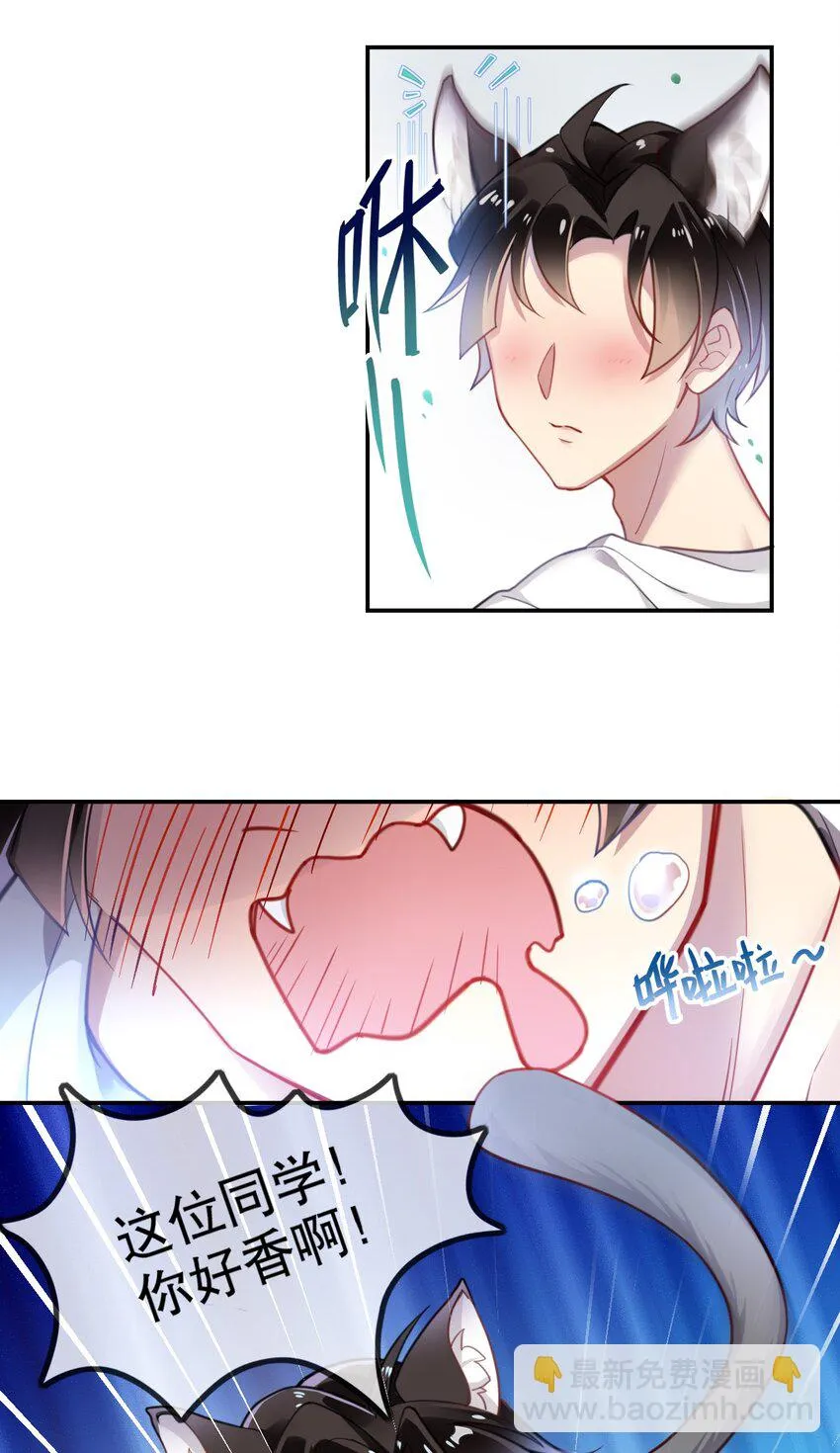 001 我是普通人……才怪！ 第19页