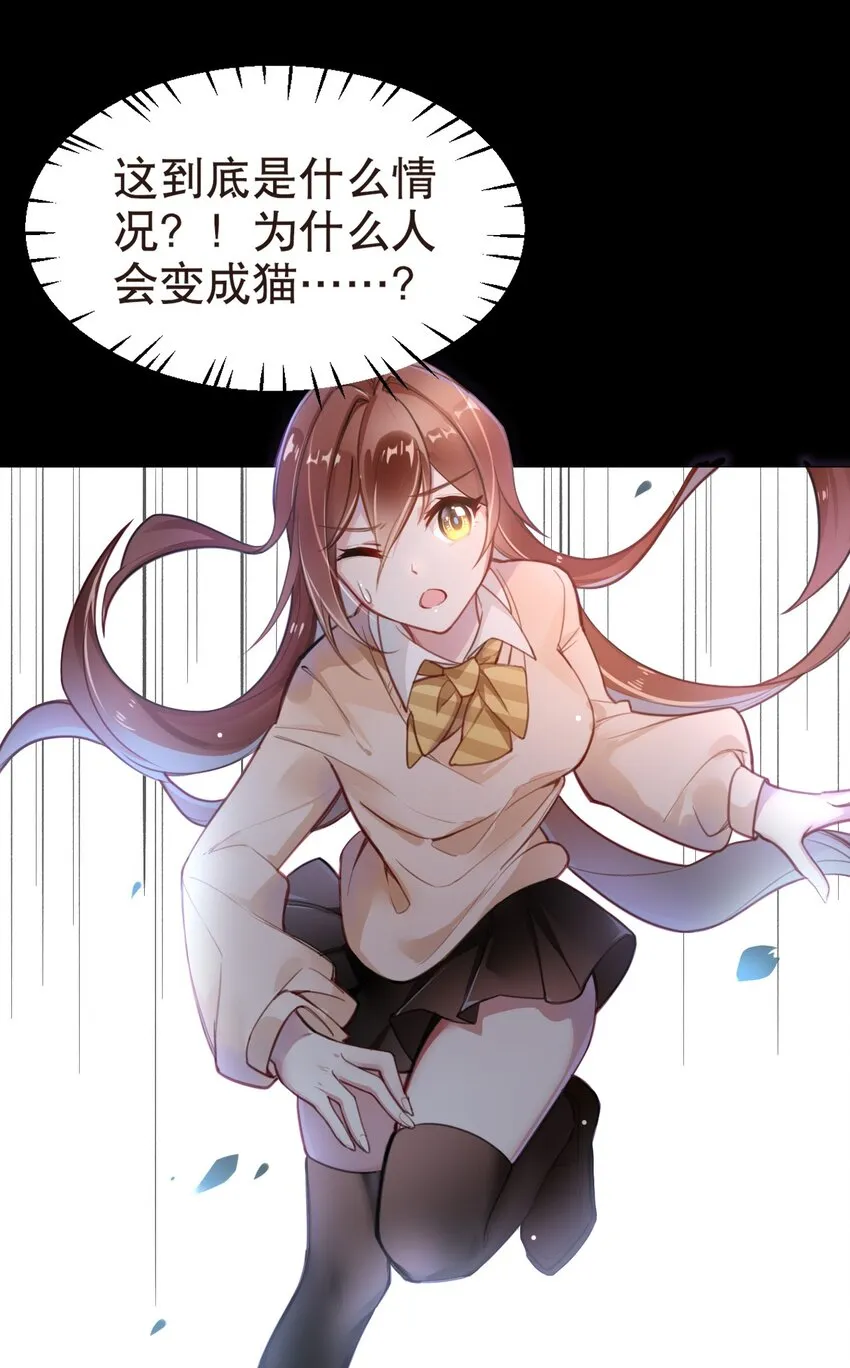 002 宠物？！ 第1页