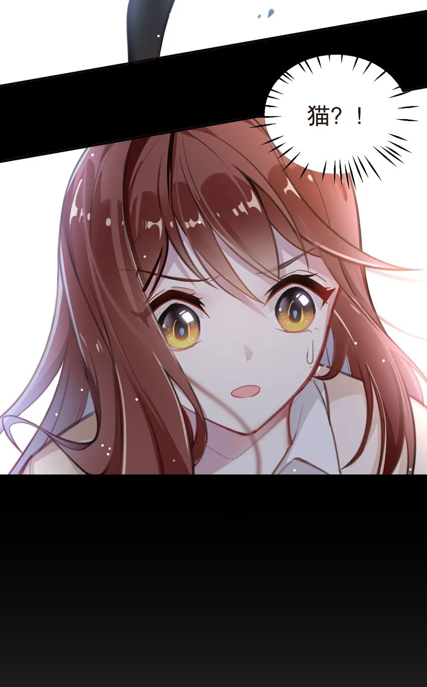 002 宠物？！ 第2页