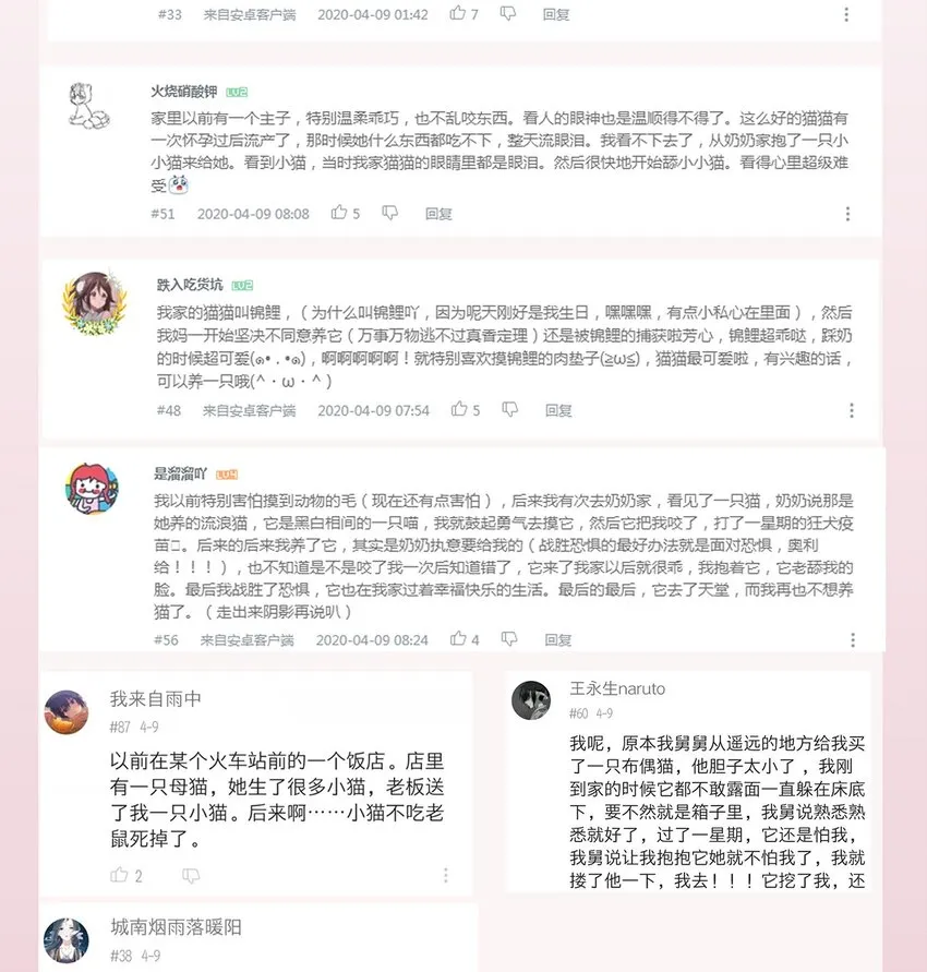 010 是我想亲你而已 第28页
