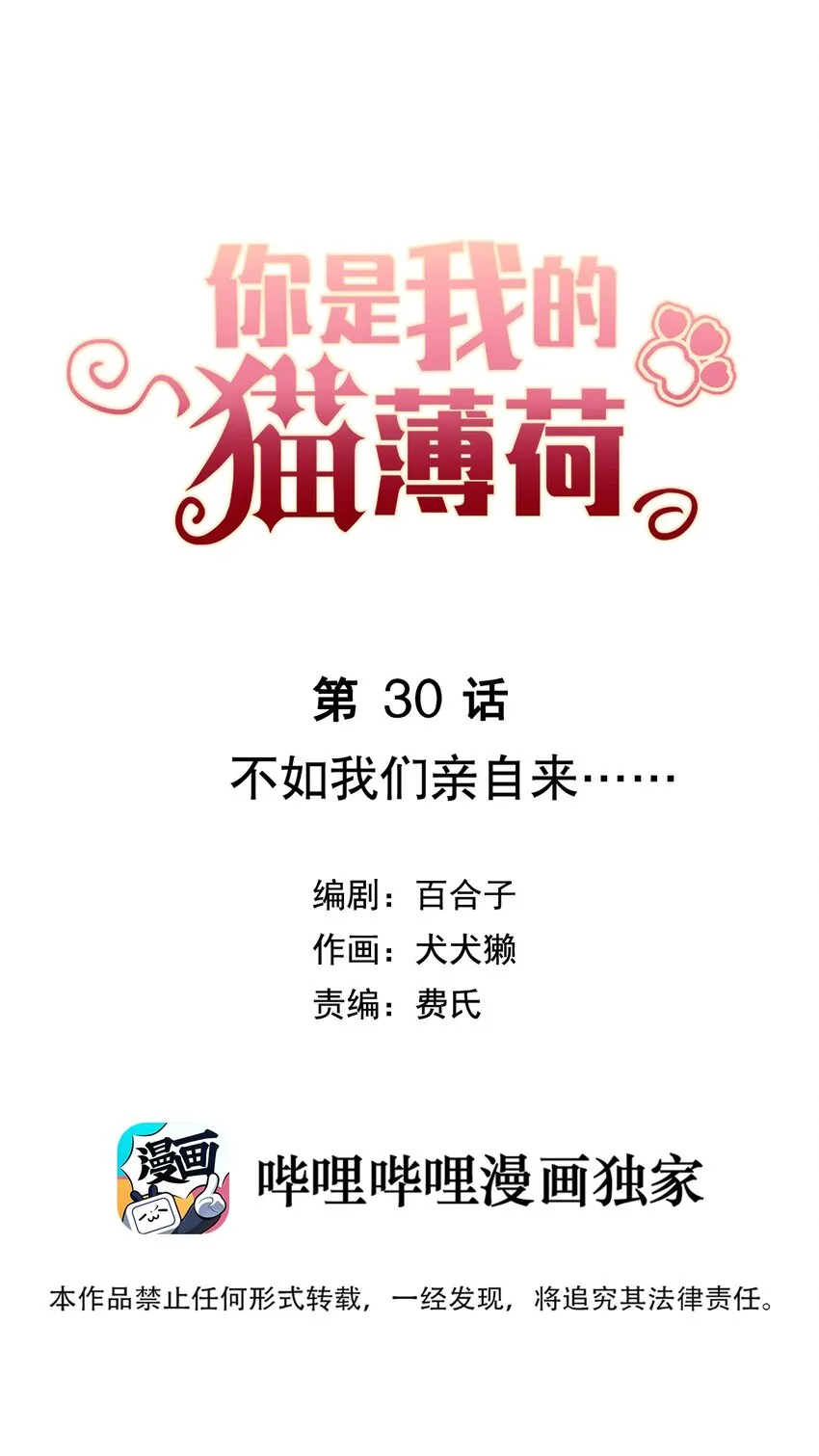 030 不如我们亲自来…… 第3页