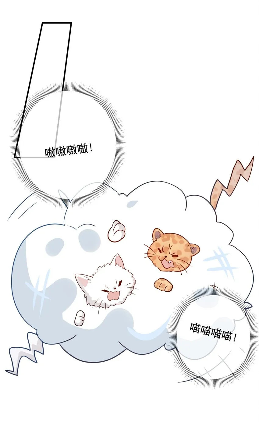 030 不如我们亲自来…… 第13页