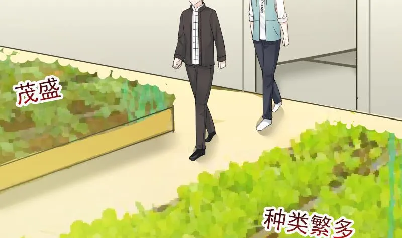 第32话 药草 第30页