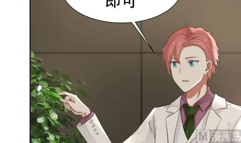 第45话 片叶即可 第16页