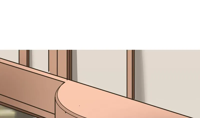 第64话 阴阳双铜钱 第2页