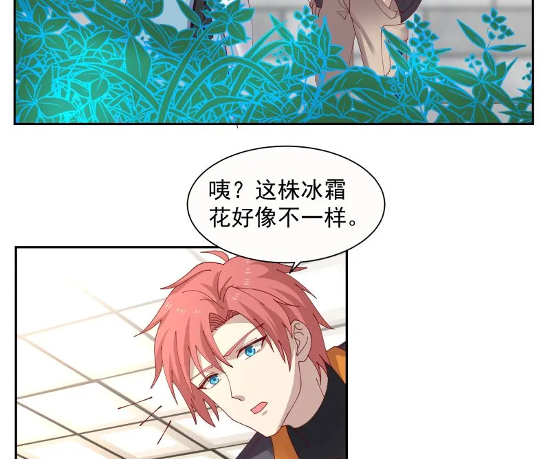 第392话 神秘附属品 第5页