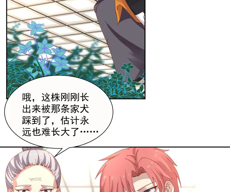 第392话 神秘附属品 第6页