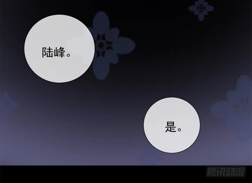 夜访虎园 第12页