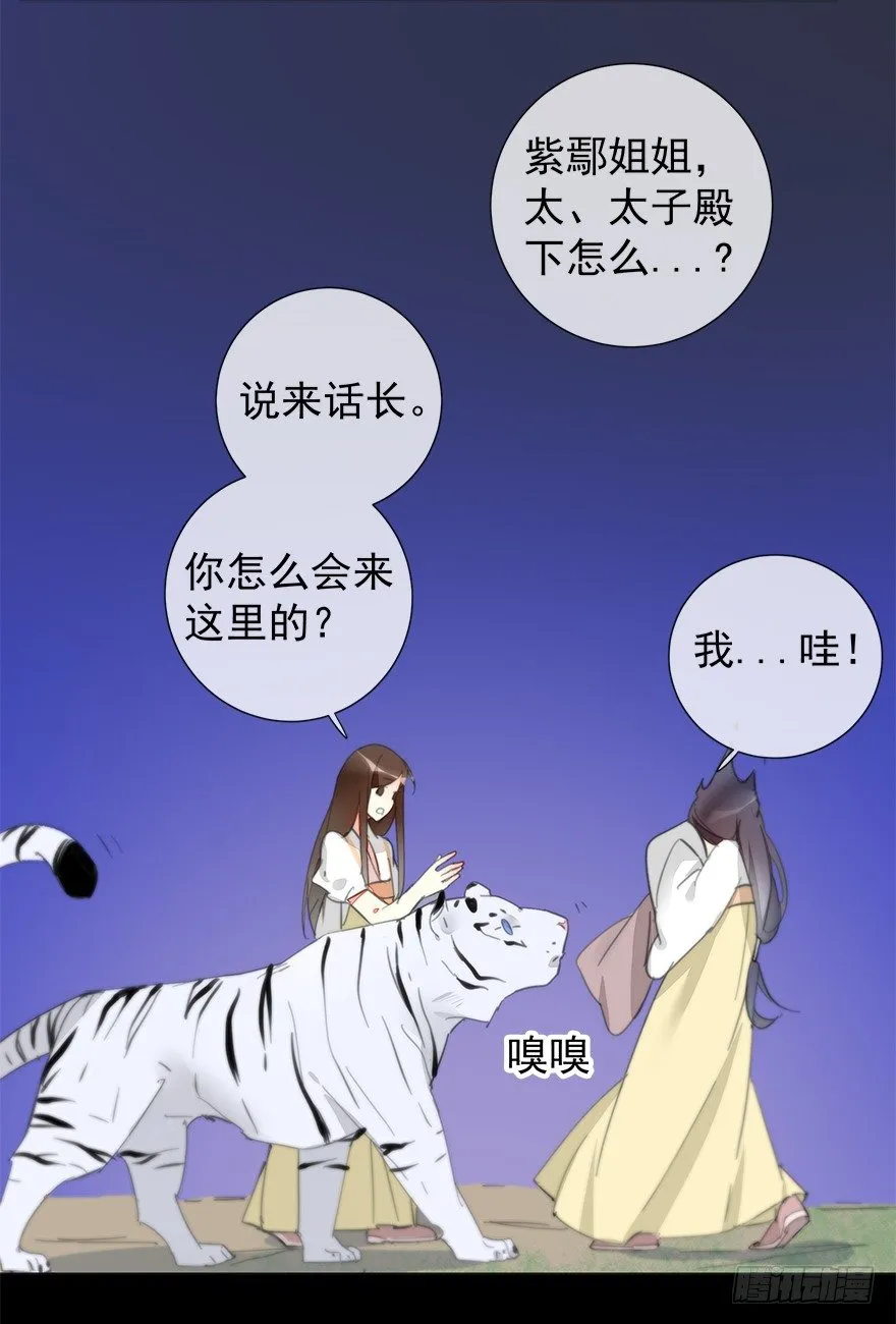 夜访虎园 第36页