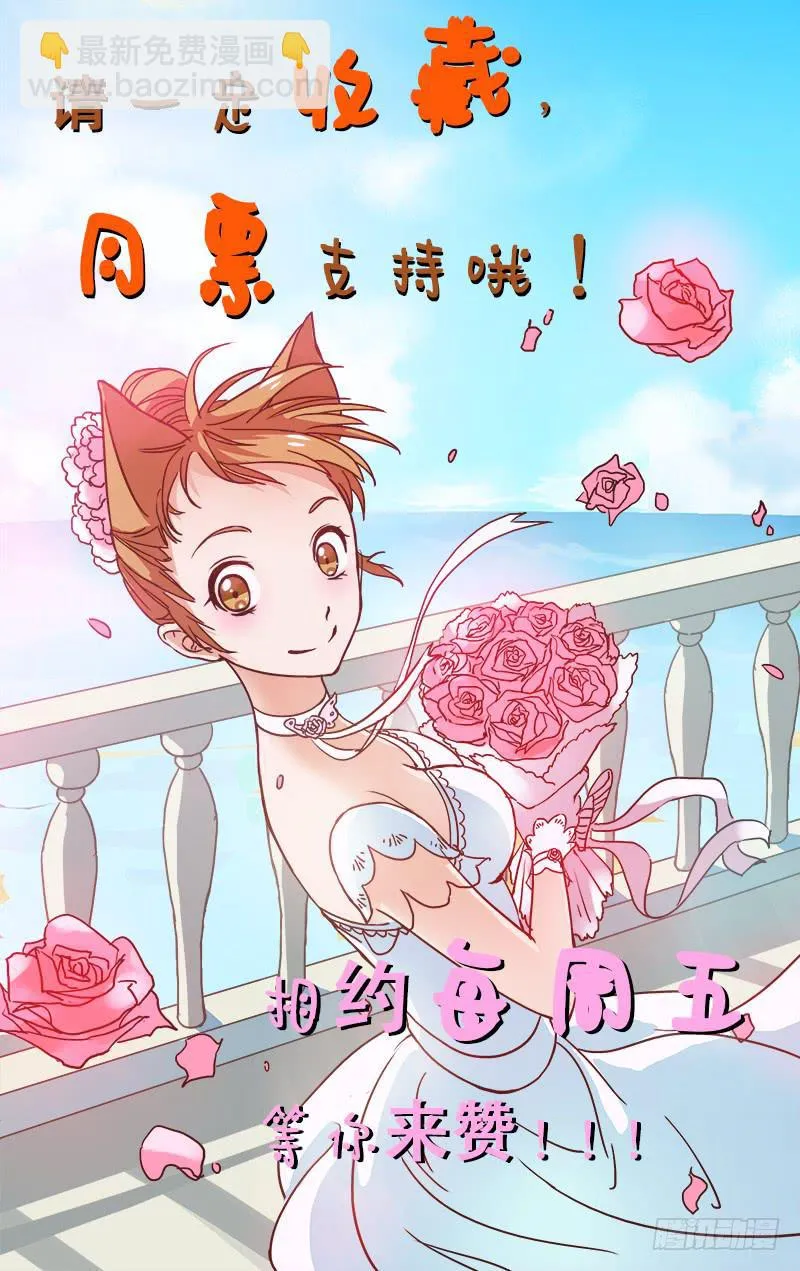 2 第11页