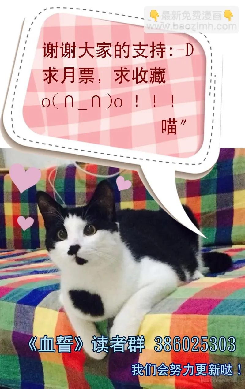 7 第11页