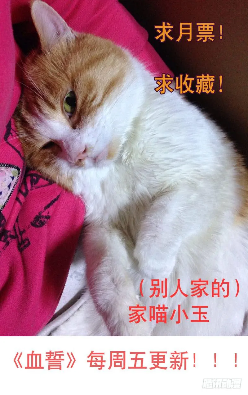 8 第12页