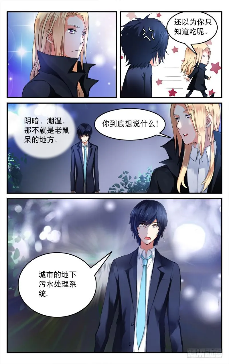 11 第4页