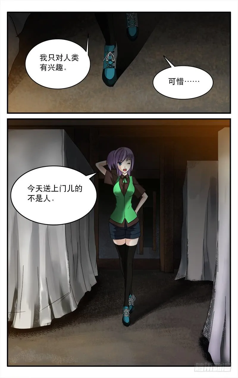 13 第2页