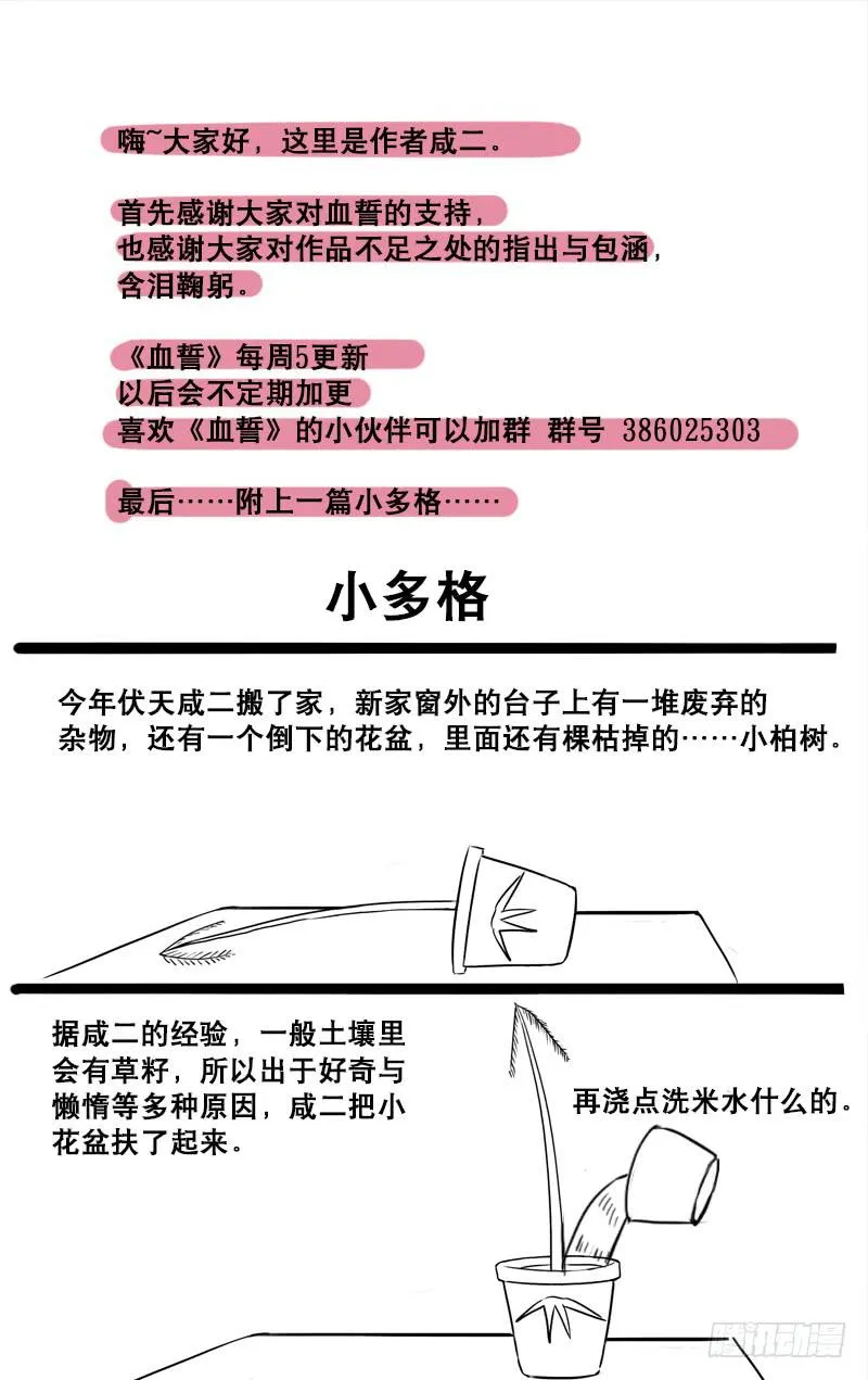 13 第11页