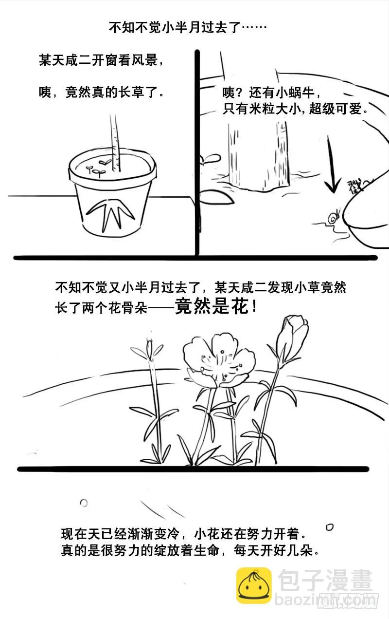 13 第12页