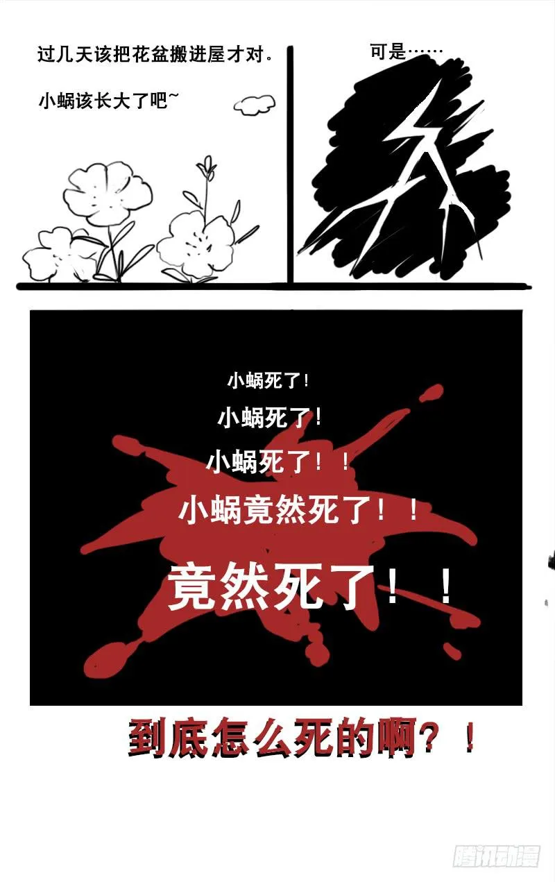 13 第13页