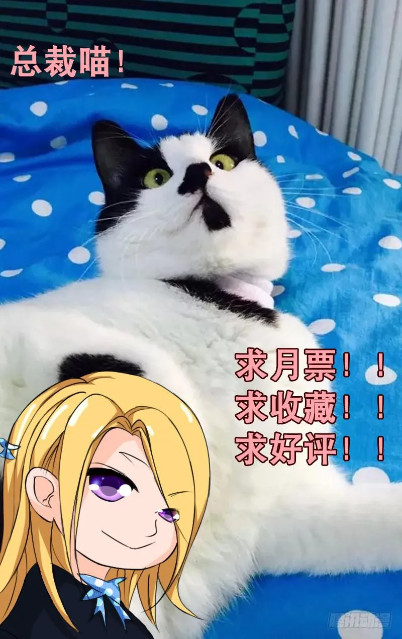 18 第11页