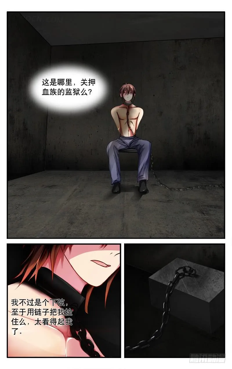26 第5页