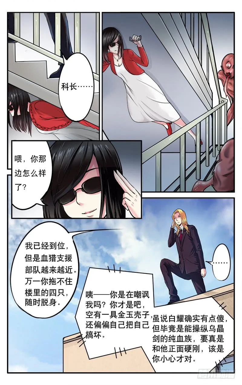41 第3页