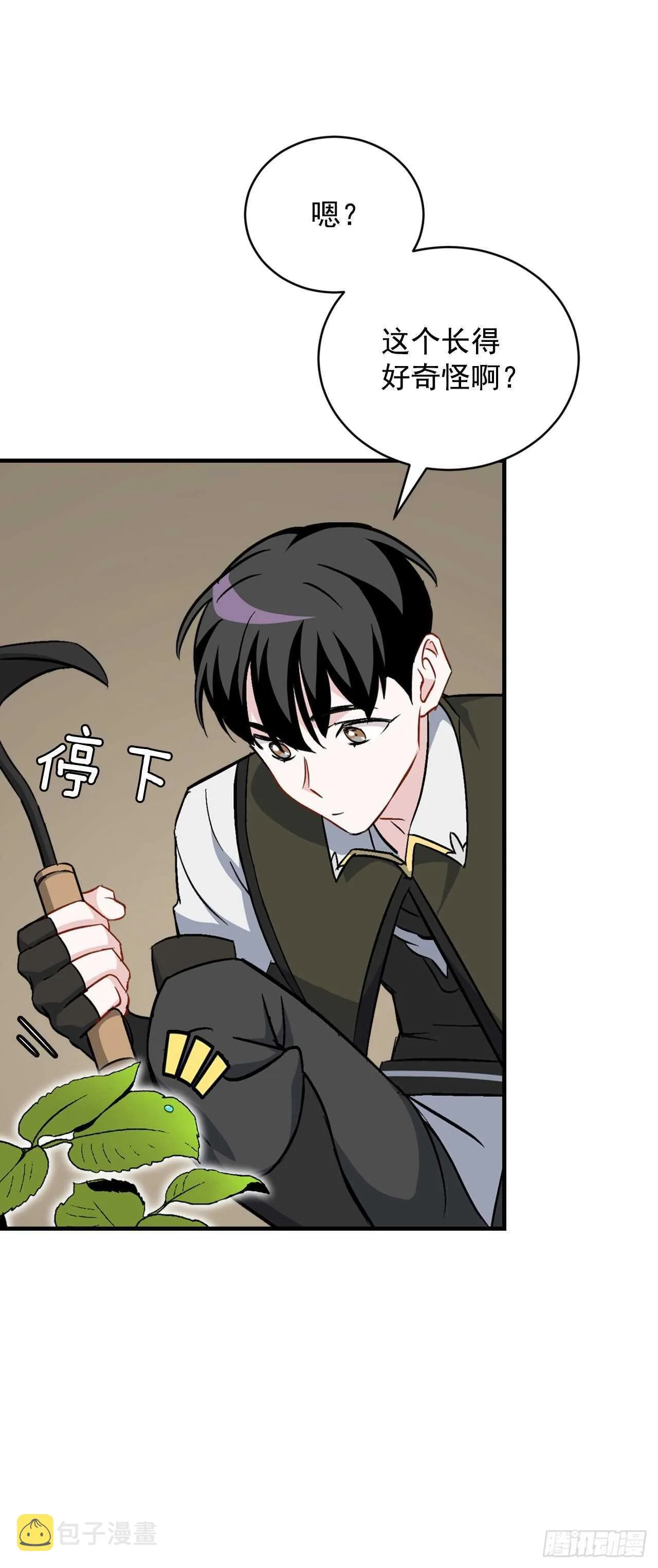 24.预选赛 第37页