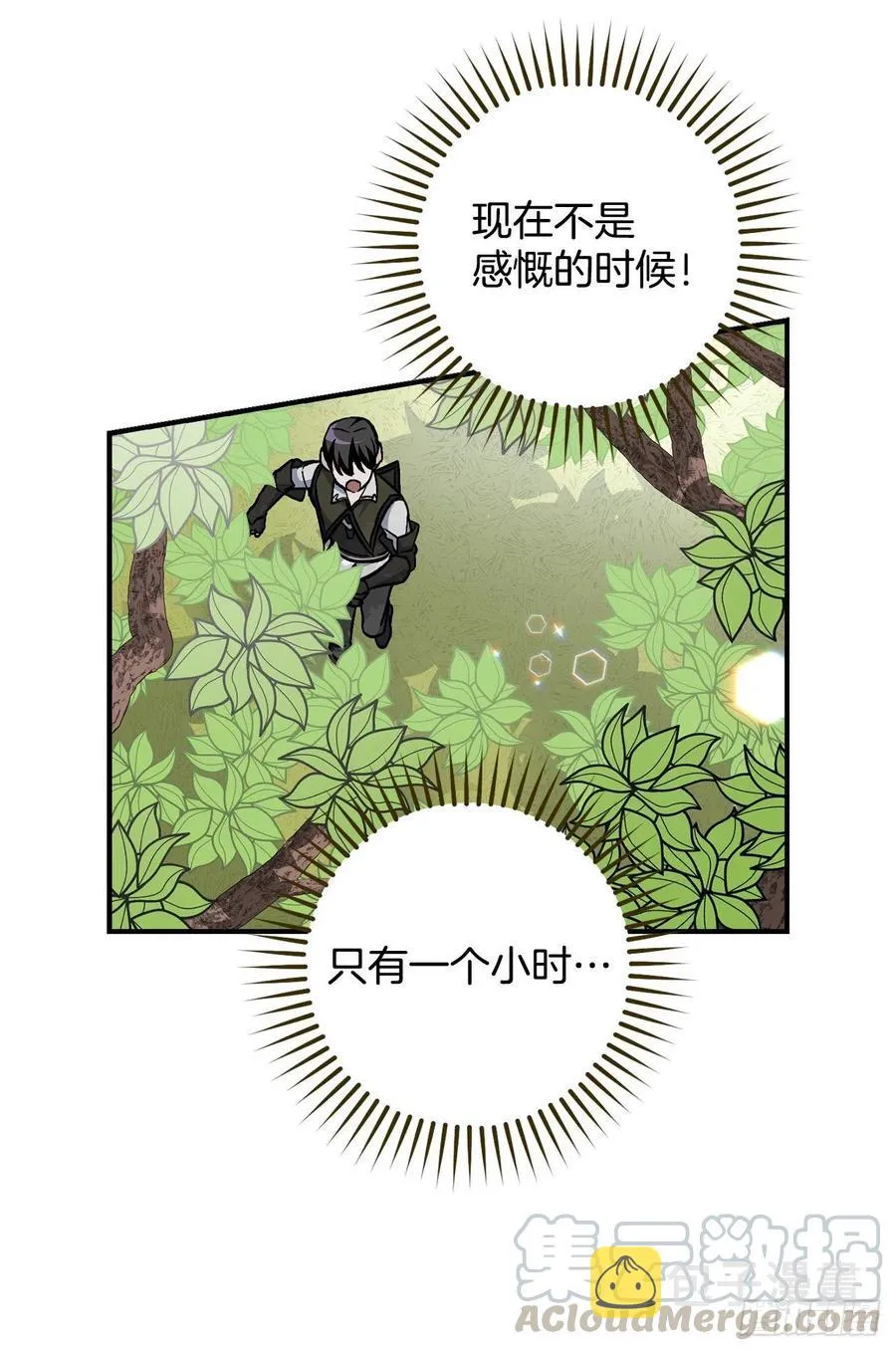 40.巧克力树 第70页