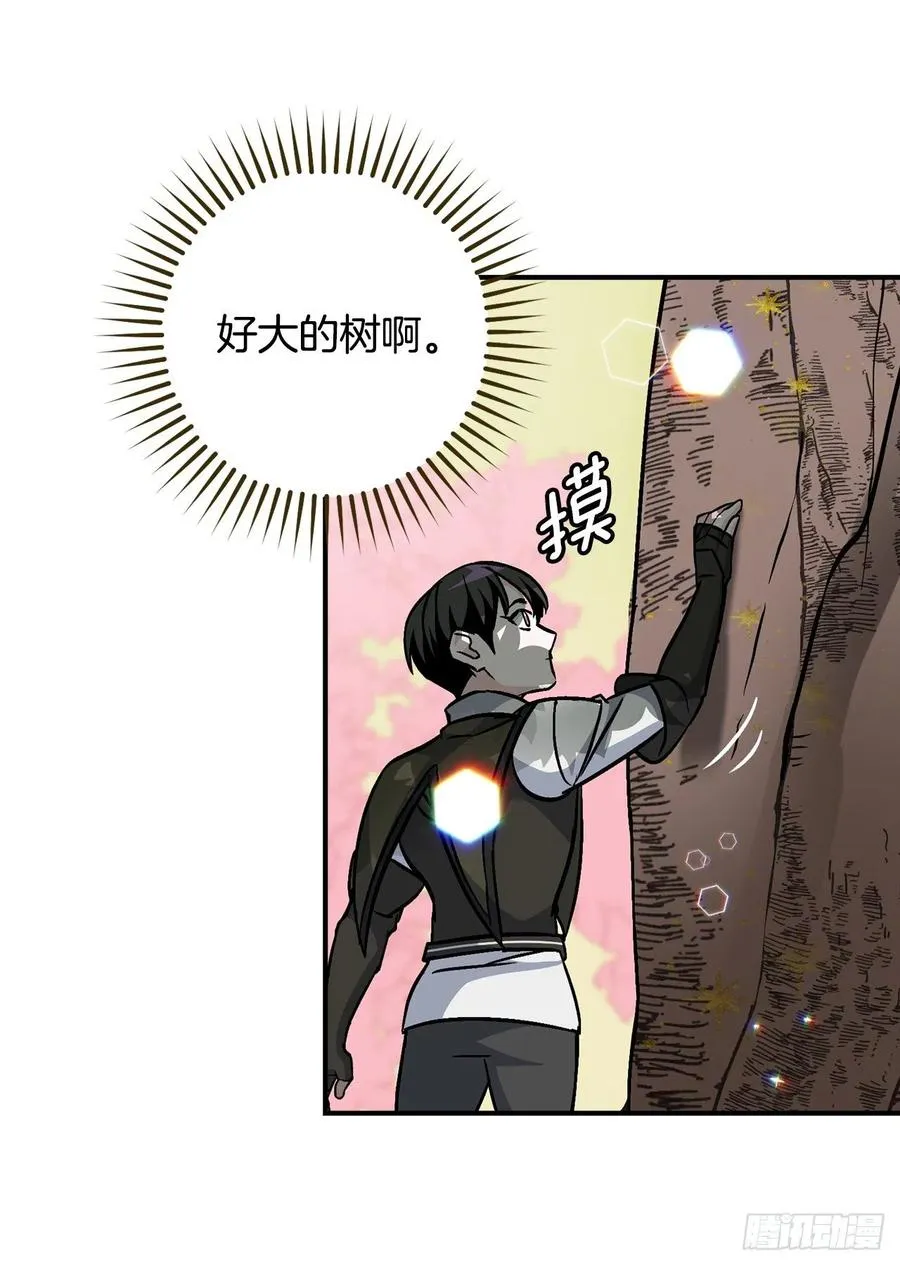 40.巧克力树 第71页