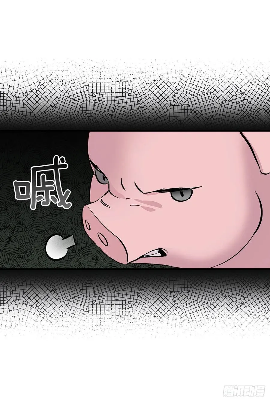 55.选择宠物 第51页