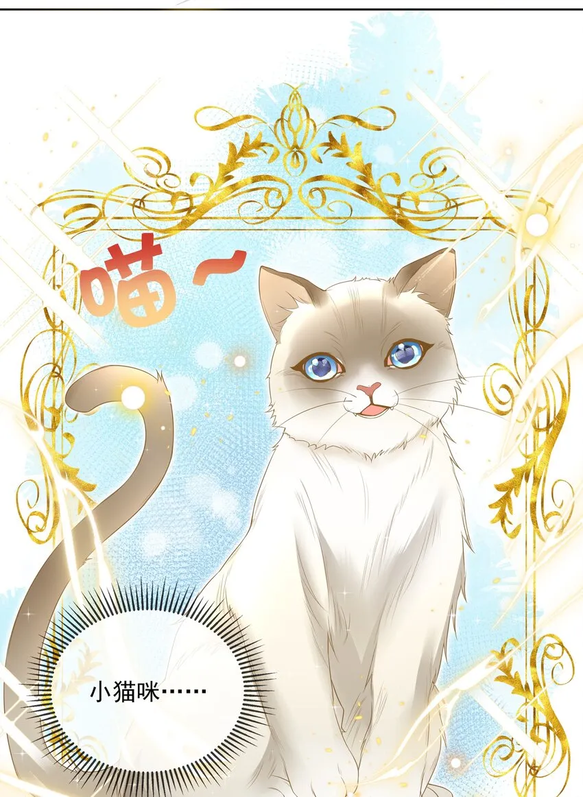 008 小猫咪~ 第39页