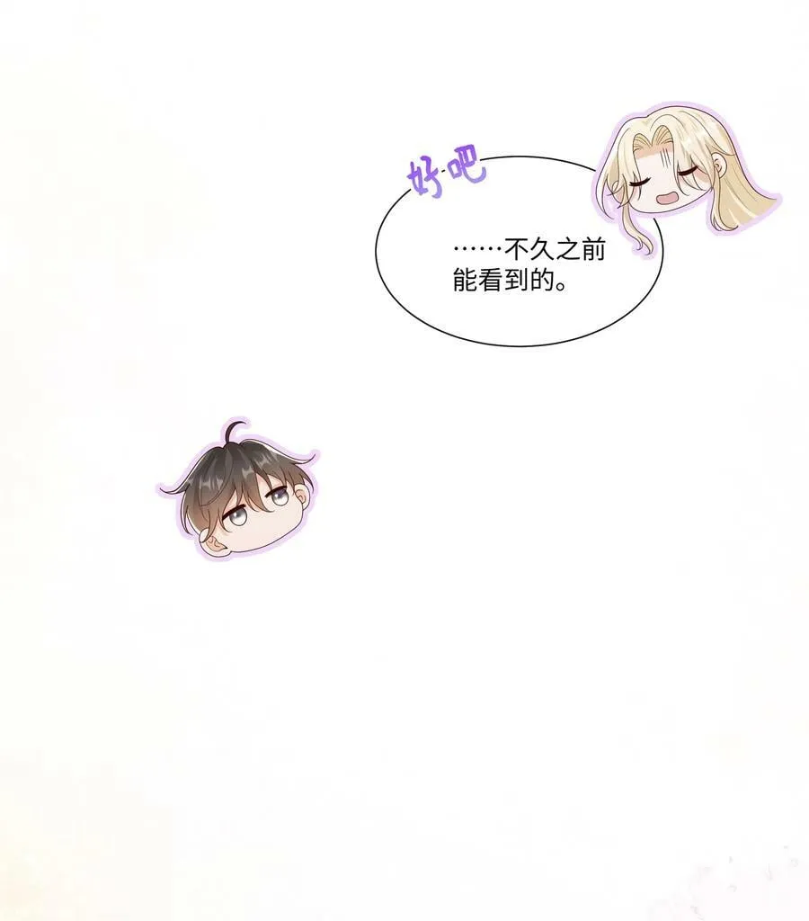 065 我只想看见你和小豹子！ 第24页